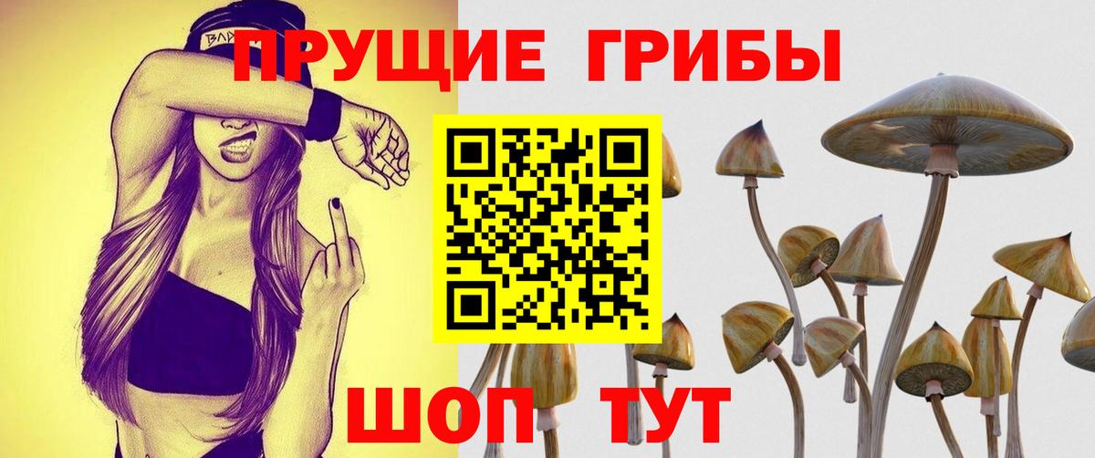 Лосино-Петровский  Псилоцибиновые грибы прущие грибы  купить  сайты  Вход с VPN 